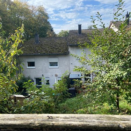 In Saarbruecken Stadtnahe Gemuetliche Wohnung Am Deutsch-Franzoesischen Garten Екстериор снимка