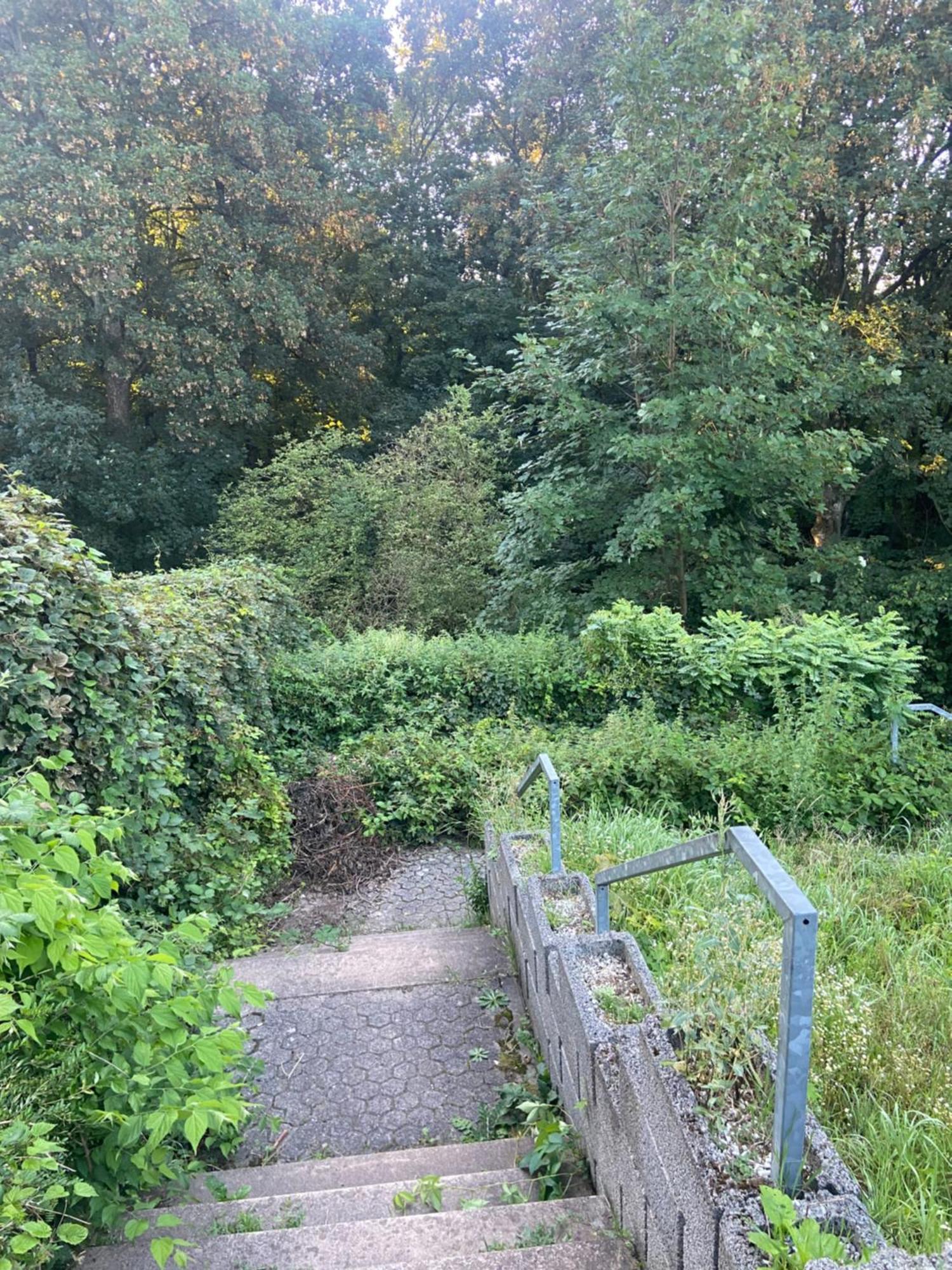 In Saarbruecken Stadtnahe Gemuetliche Wohnung Am Deutsch-Franzoesischen Garten Екстериор снимка
